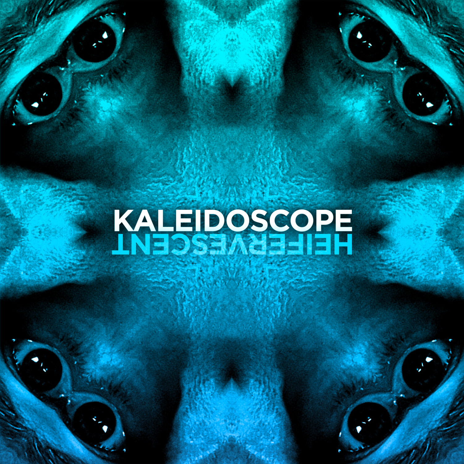 Kaleidoscope by Heifervescent